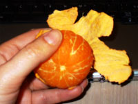 Clandestine Clementines by Laura Moncur 04-15-06