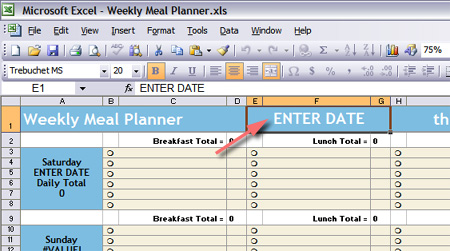 Monthly Meal Planner Template Excel from www.starling-fitness.com