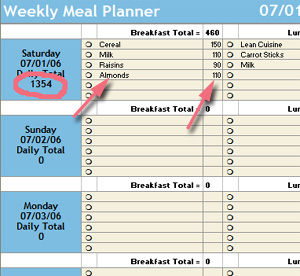 Type in your food and calories here