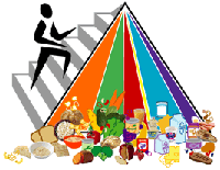 The New Food Pyramid