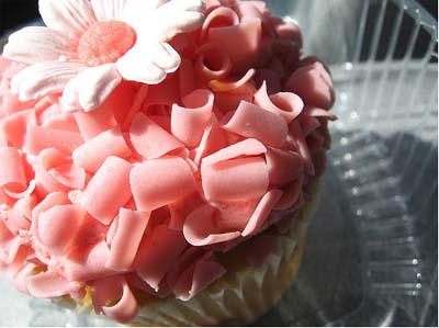 Cupcake photo via Flicker: Click here to see more