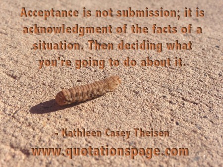 Acceptance is not submission; it is acknowledgment of the facts of a situation. Then deciding what you're going to do about it. Kathleen Casey Theisen from The Quotations Page