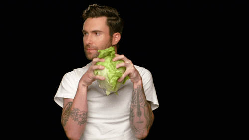 Adam Levine Loves Lettuce from Starling Fitness
