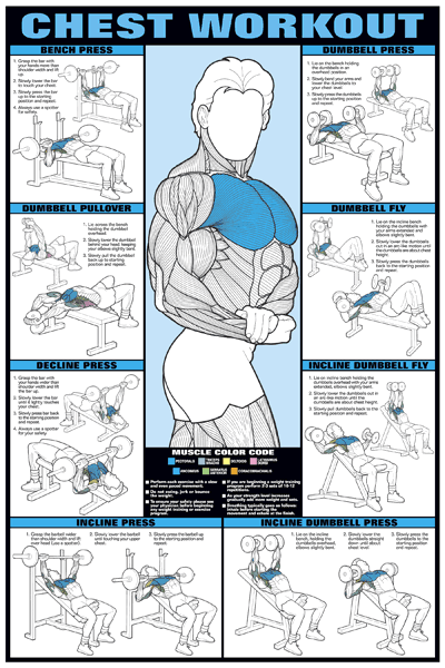 Bodybuilding Chest Exercises