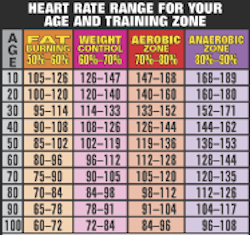 Aerobic Workout Heart Rate Chart