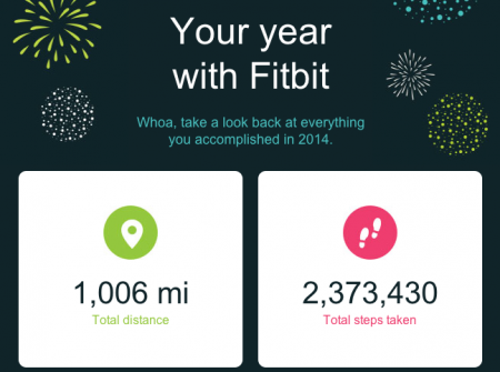 Laura Moncur Fitbit Stats for 2014 from Starling Fitness