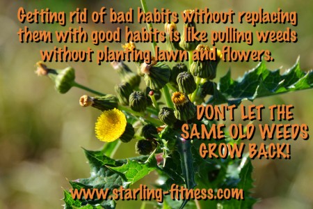 Weeds by Starling Fitness