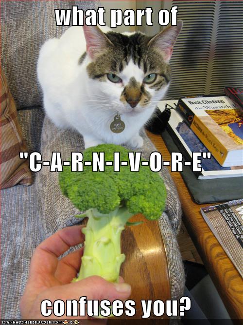 LOLCats: Carnivore