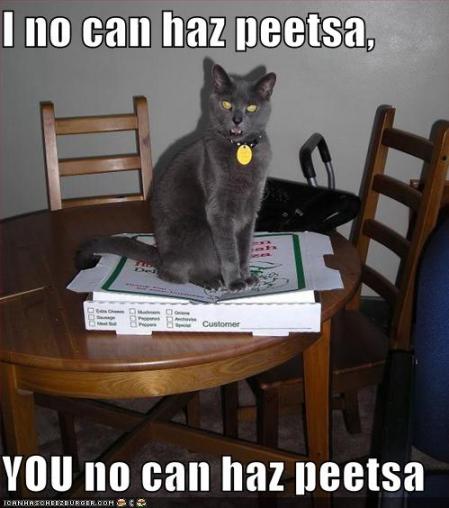 cat-cant-have-pizza