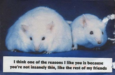 PostSecret: Insanely Thin