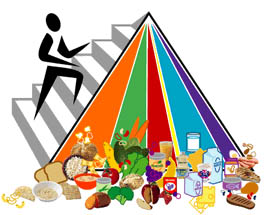 The USDAâ€™s Food Pyramid