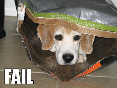 Fail Dogs: Weight Management