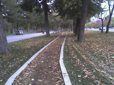 Run at Liberty Park