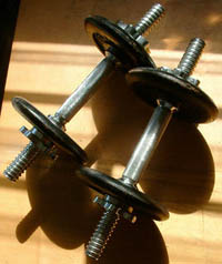 Photo provided by Wikipedia
