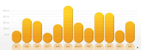 A Year of Runs A Year of Runs