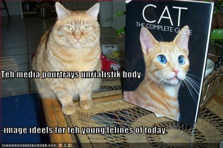 Teh Media Pourtrays Unrialistik Body Image