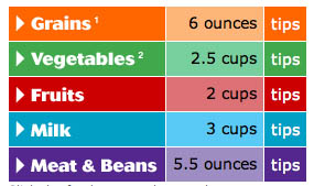 The USDAâ€™s food recommendations for me.